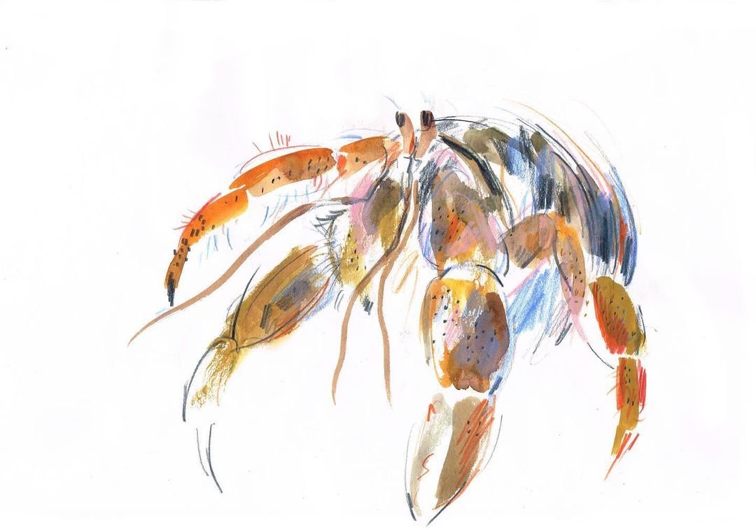 Laura McKendry's Course: Animal Illustration in Watercolor and Charcoal