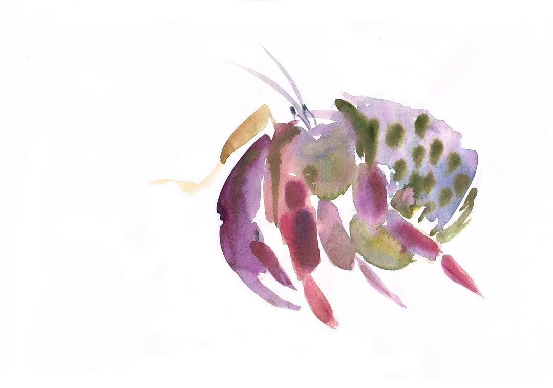 Creative Watercolor and Charcoal Sketching: Laura McKendry's Animal Course