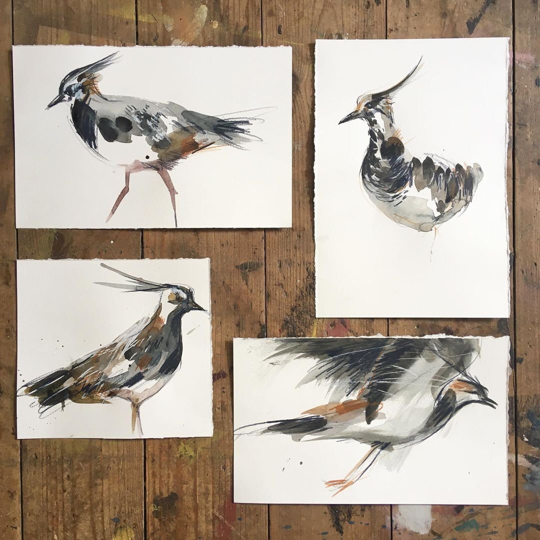 Learn Animal Illustration with Watercolor and Charcoal by Laura McKendry