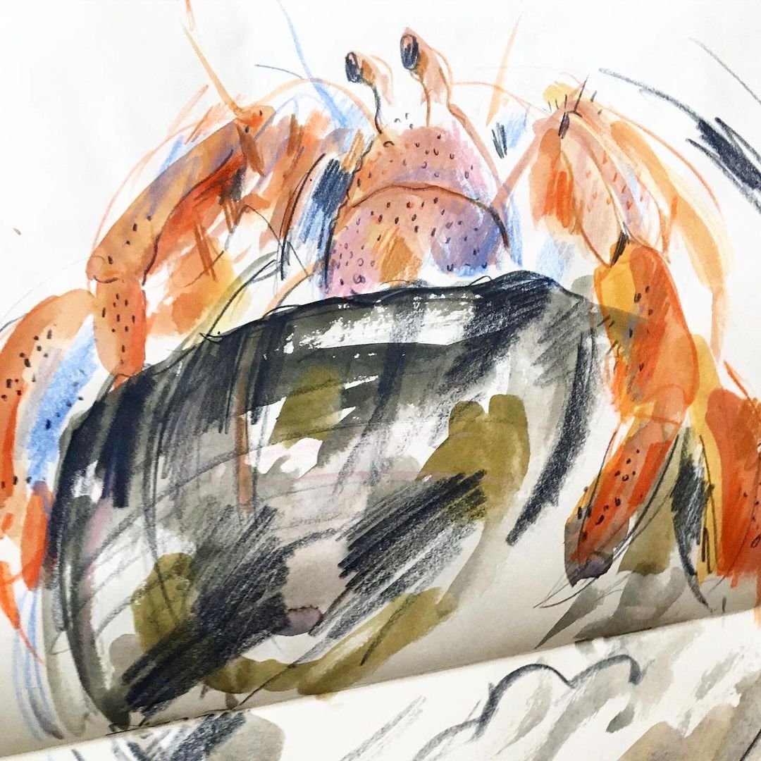 Course: Creative Watercolor and Charcoal Techniques for Animal Art by Laura McKendry