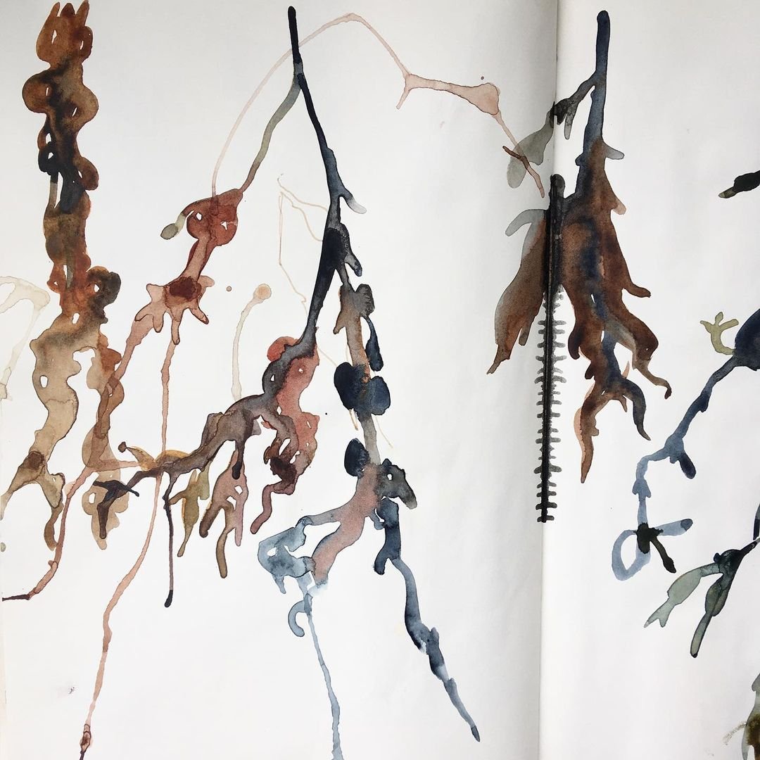 Creative Sketching in Watercolor and Charcoal: Laura McKendry's Course