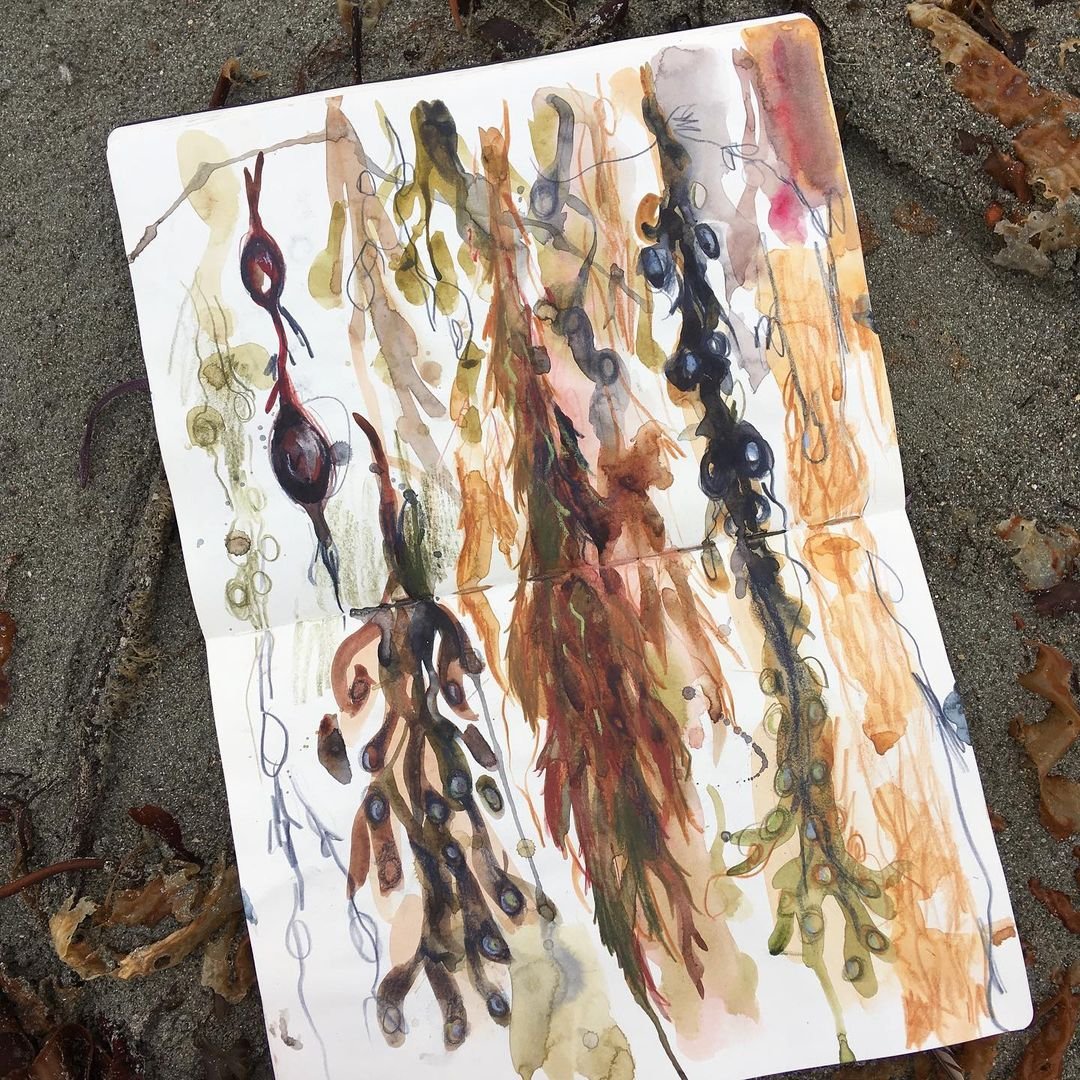 Laura McKendry's Watercolor and Charcoal Sketching Course: Is It Worth It?