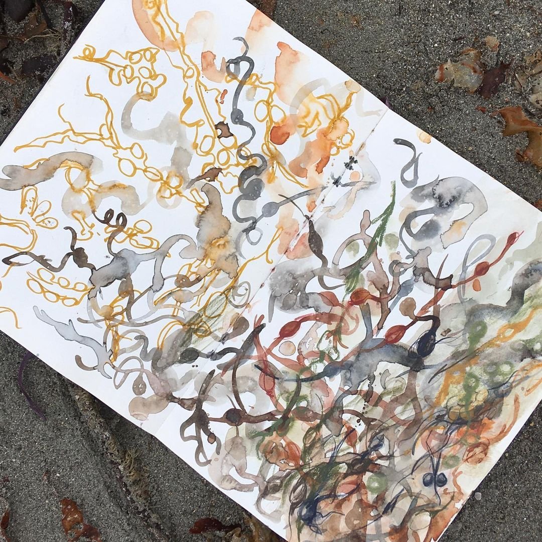 Laura McKendry Teaches Animal Illustration in Watercolor and Charcoal