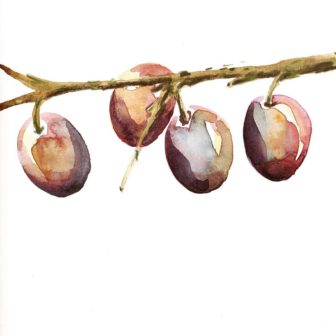 Laura McKendry's Creative Watercolor and Charcoal Course: Is It Worth It?