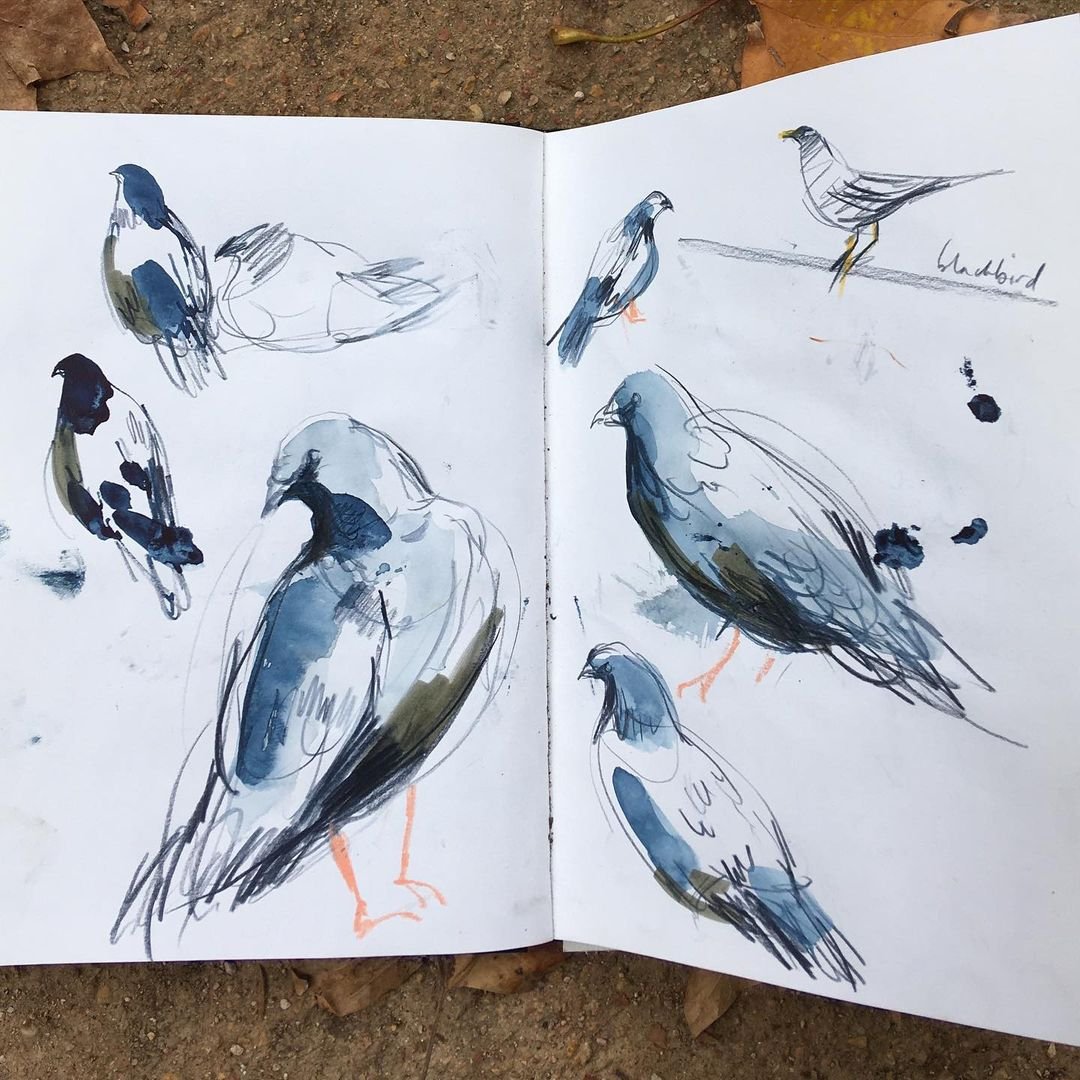 Review: Watercolor and Charcoal Animal Art by Laura McKendry