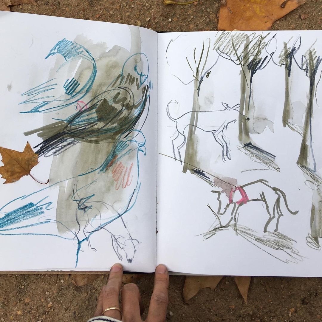 Creative Sketching in Watercolor and Charcoal: Laura McKendry's Course