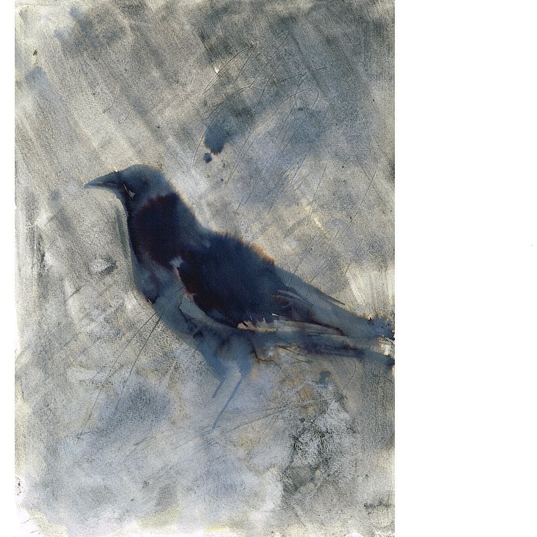 Is Laura McKendry's Course on Animal Illustration in Watercolor and Charcoal Worth It?