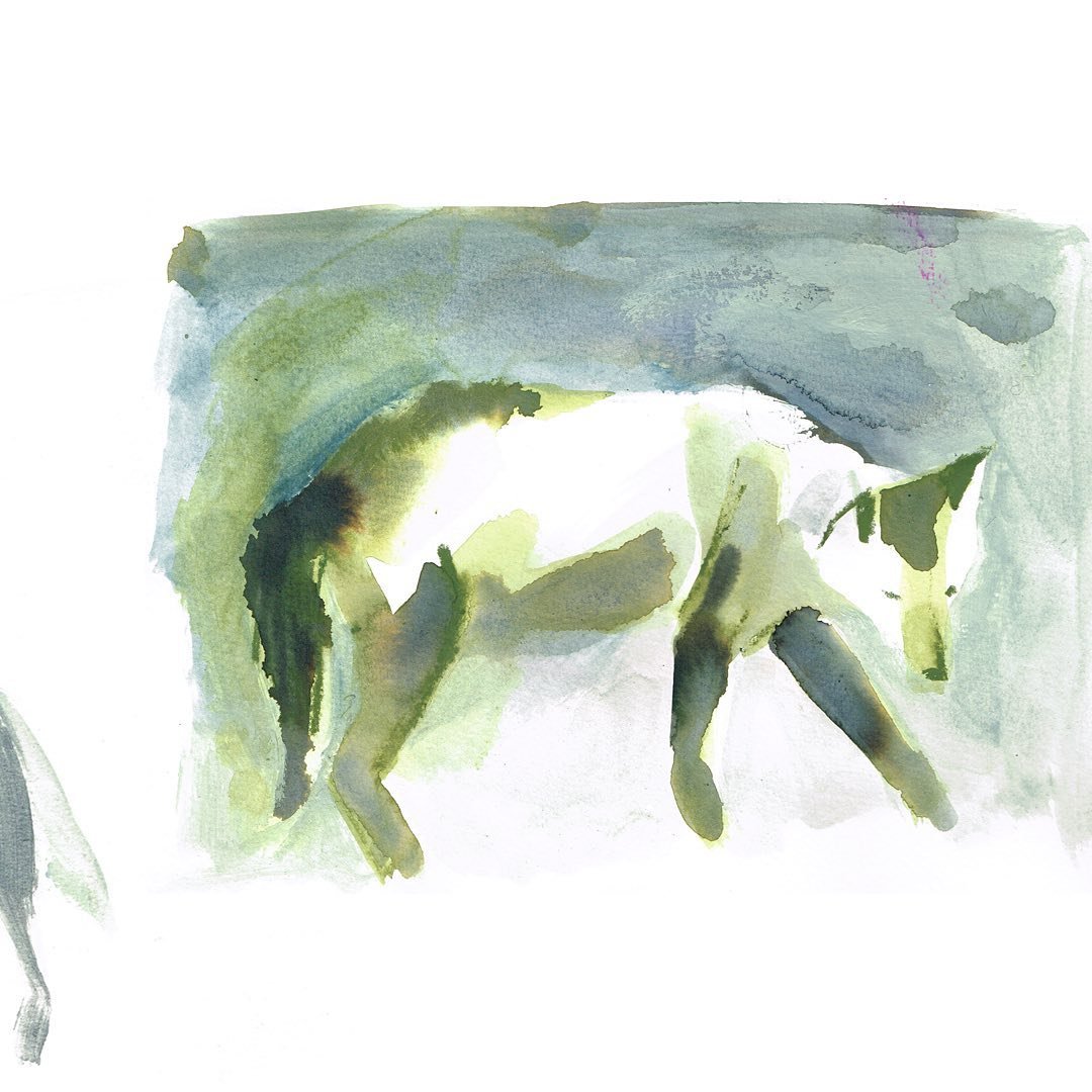 Master Watercolor and Charcoal with Laura McKendry's Animal Art Course