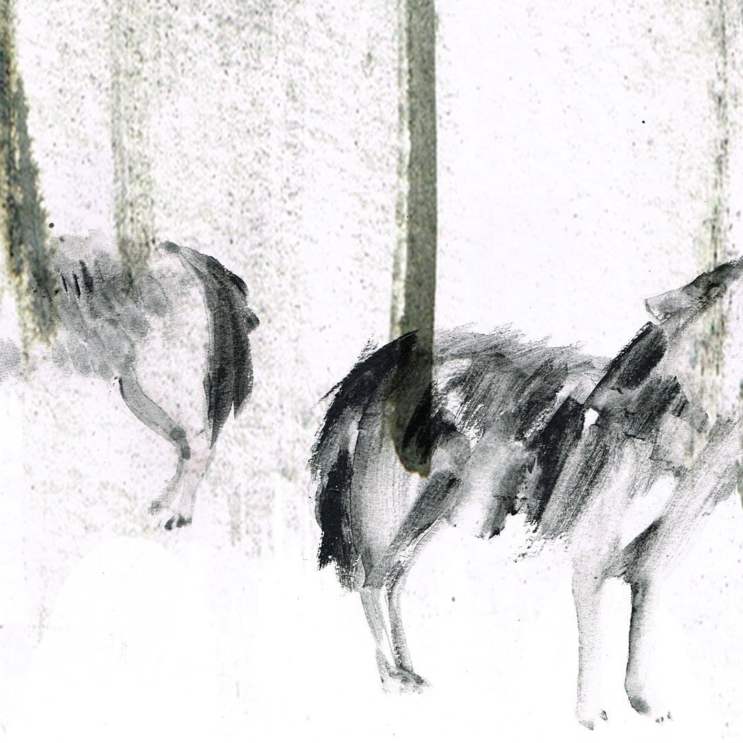 Course: Learn Watercolor and Charcoal Animal Illustration by Laura McKendry