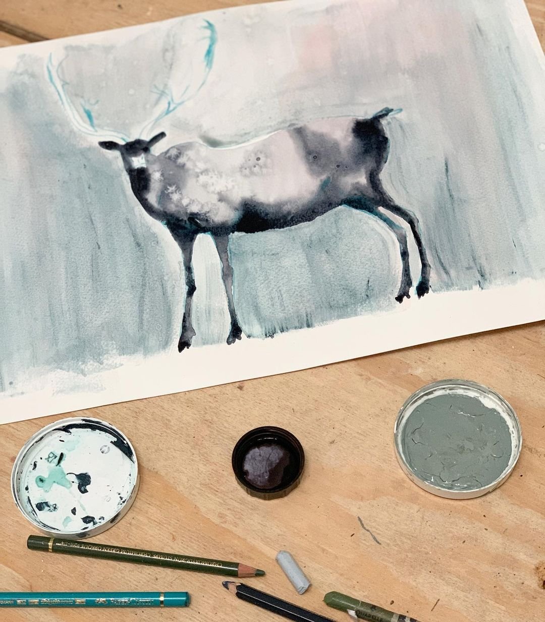 Is Laura McKendry's Course on Animal Illustration in Watercolor and Charcoal Worth It?