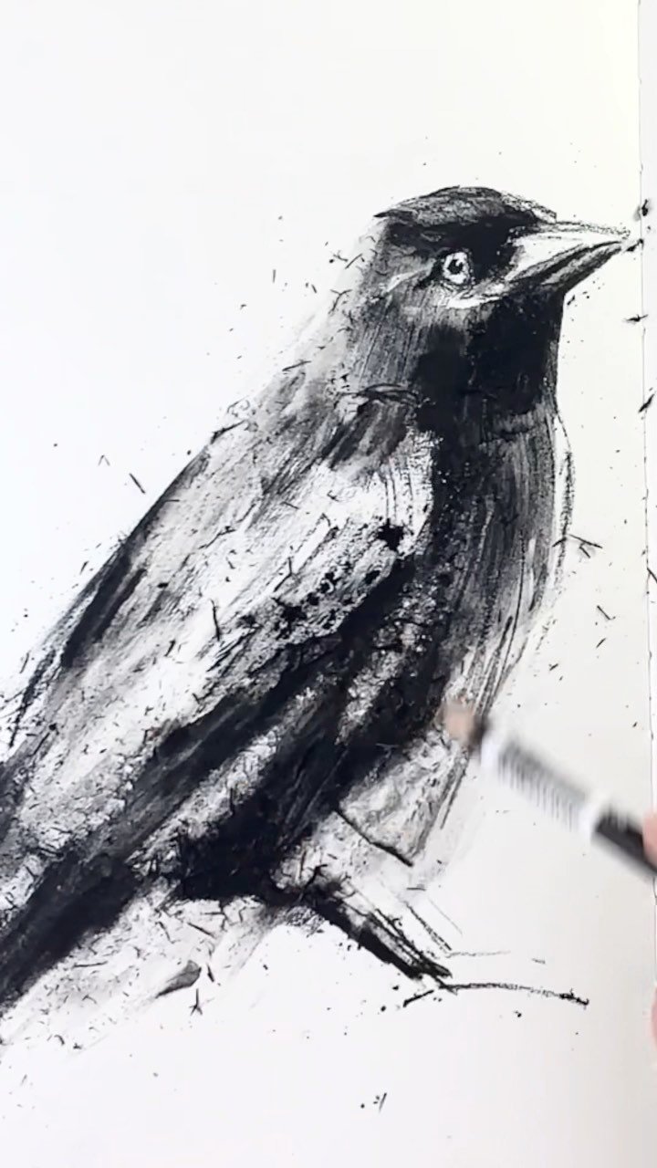 Animal Illustration Techniques: Watercolor and Charcoal with Laura McKendry