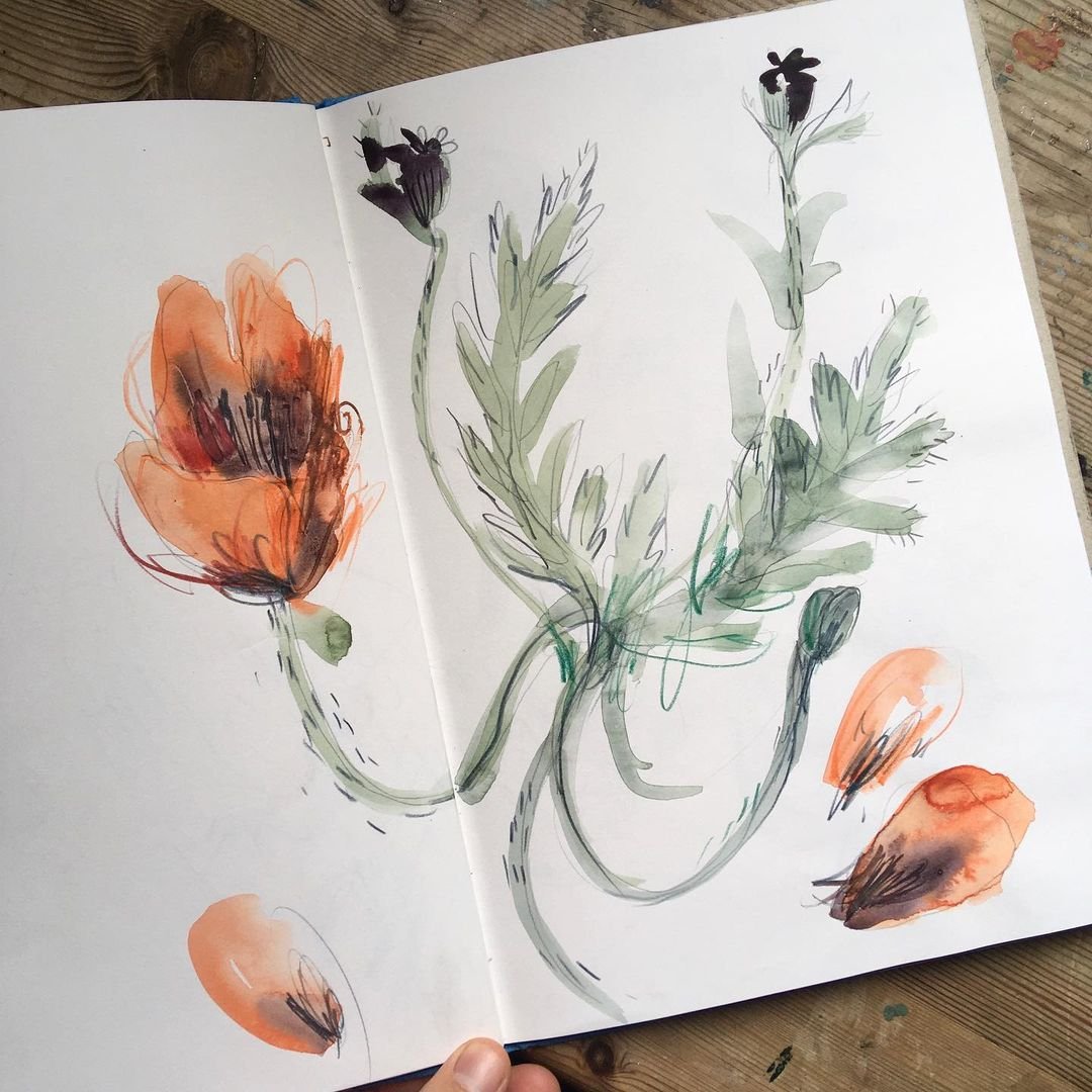 Laura McKendry's Watercolor and Charcoal Sketching Course: Is It Worth It?