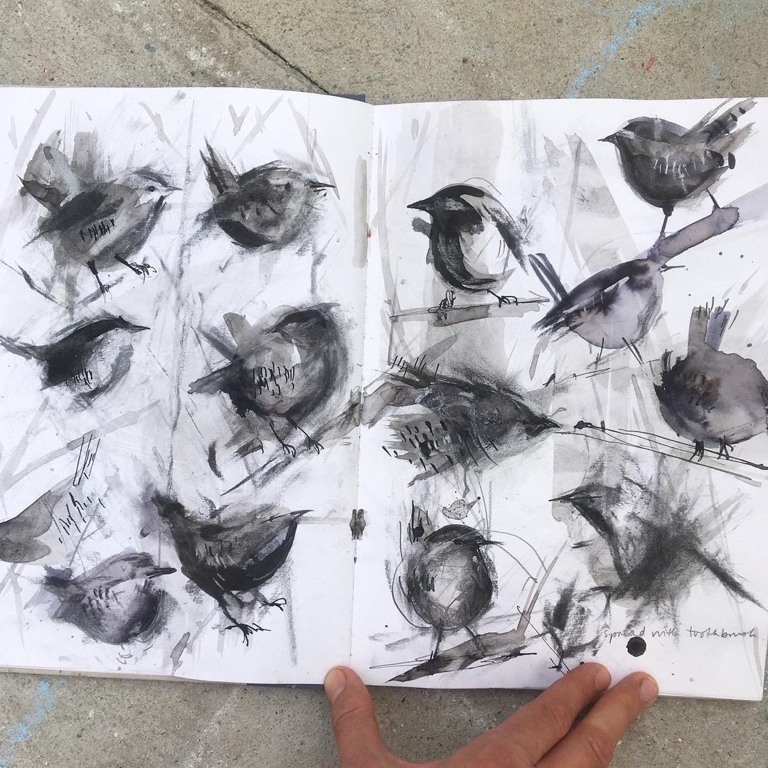 Course: Creative Watercolor and Charcoal Techniques for Animal Art by Laura McKendry