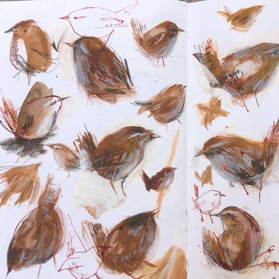 Laura McKendry's Course: Animal Illustration in Watercolor and Charcoal