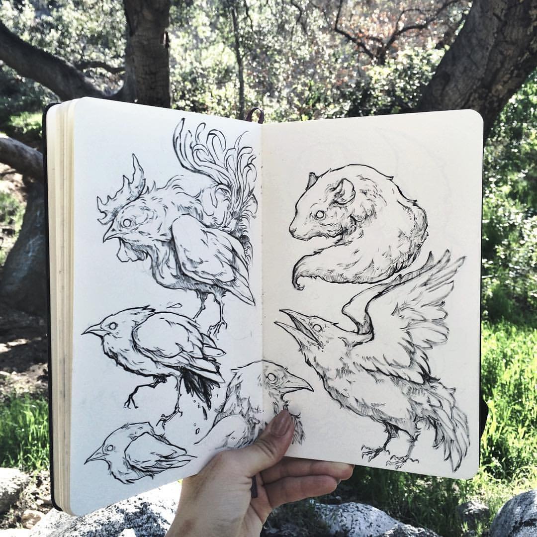 Unlock Your Creativity Daily with Sorie Kim's Sketching