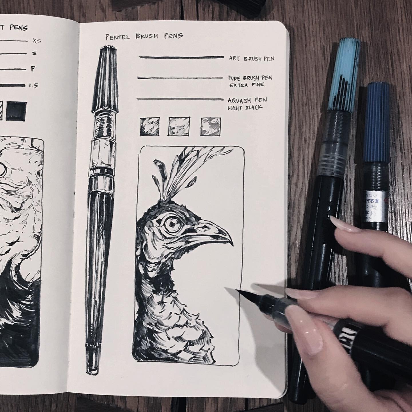 Daily Sketching Mastery: Sorie Kim's Creative Approach