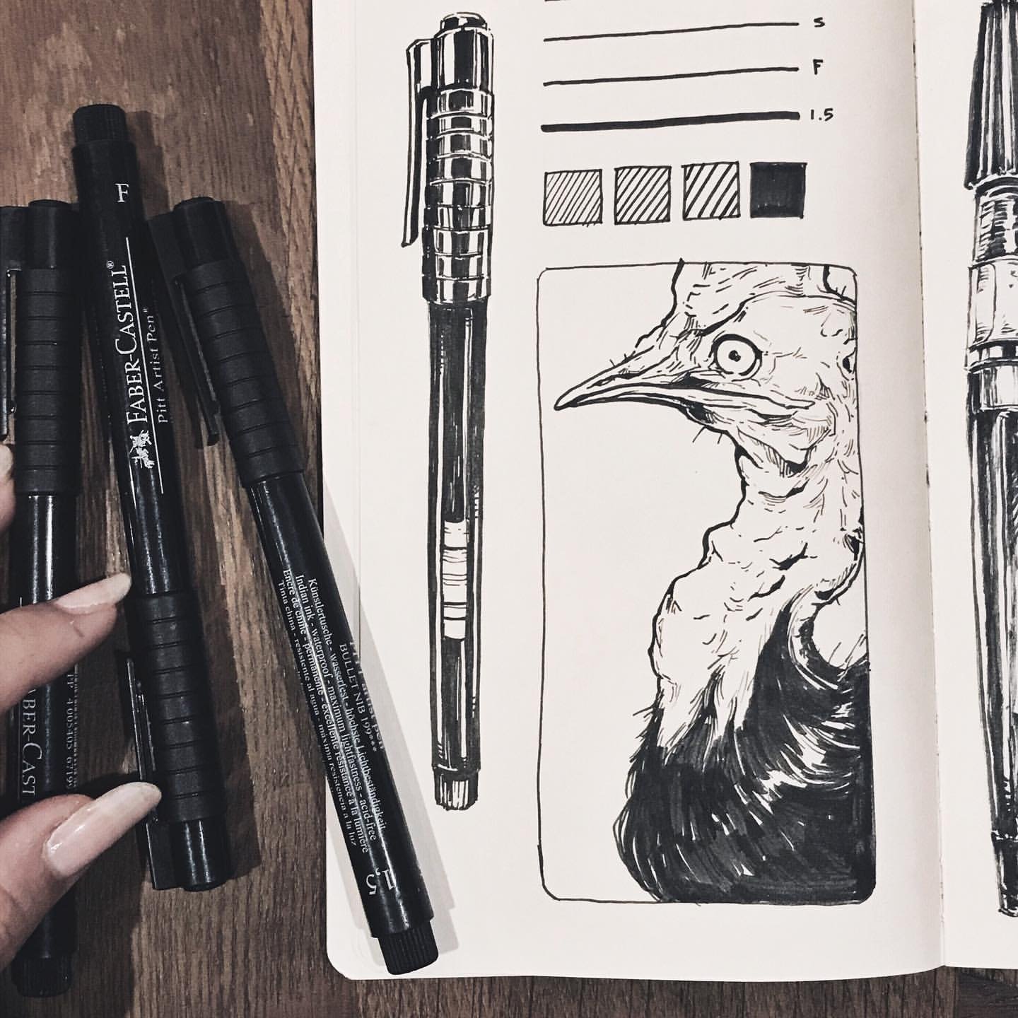 Daily Sketching Projects: Showcase by Sorie Kim - Review