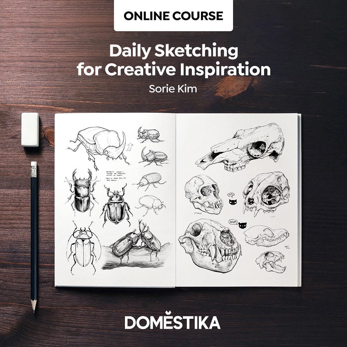 Sorie Kim Teaches Daily Sketching for Creative Inspiration: Showcase and Review