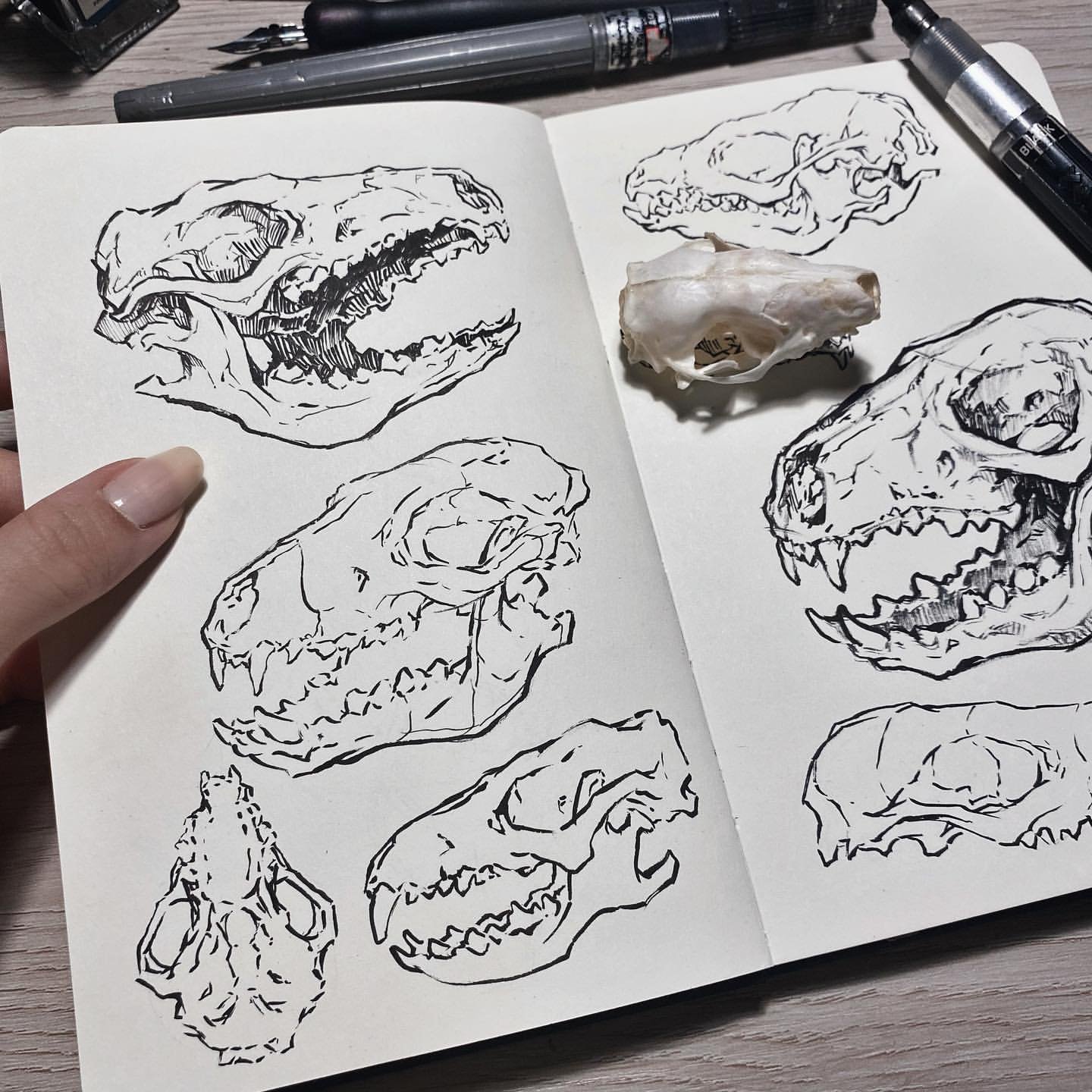 Boost Creativity: Sorie Kim's Daily Sketching Guide