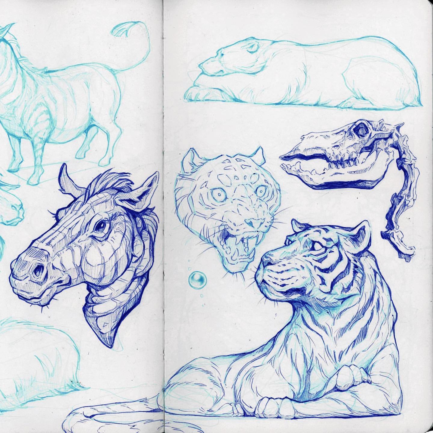 Unlock Your Creativity Daily with Sorie Kim's Sketching