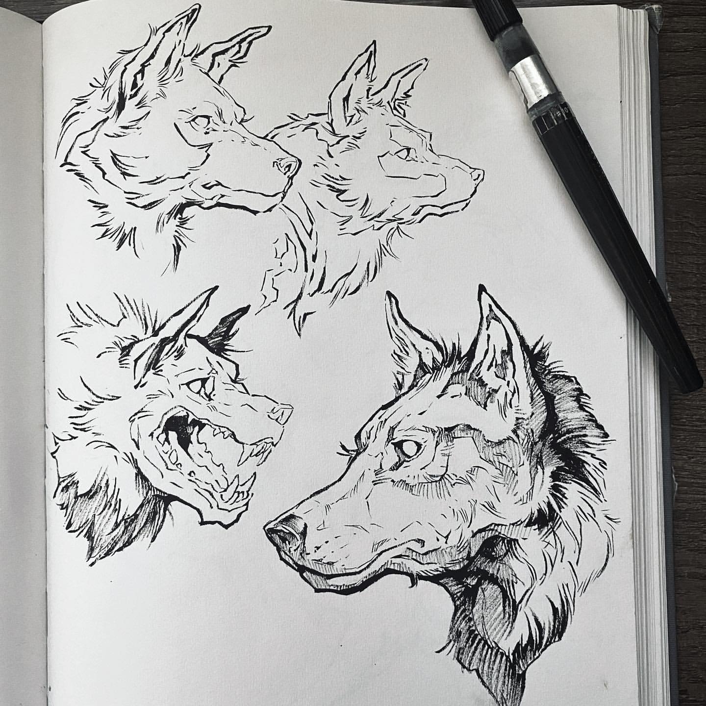 Dibujo diario para inspiración creativa de Sorie Kim: Reseña y desglose del curso