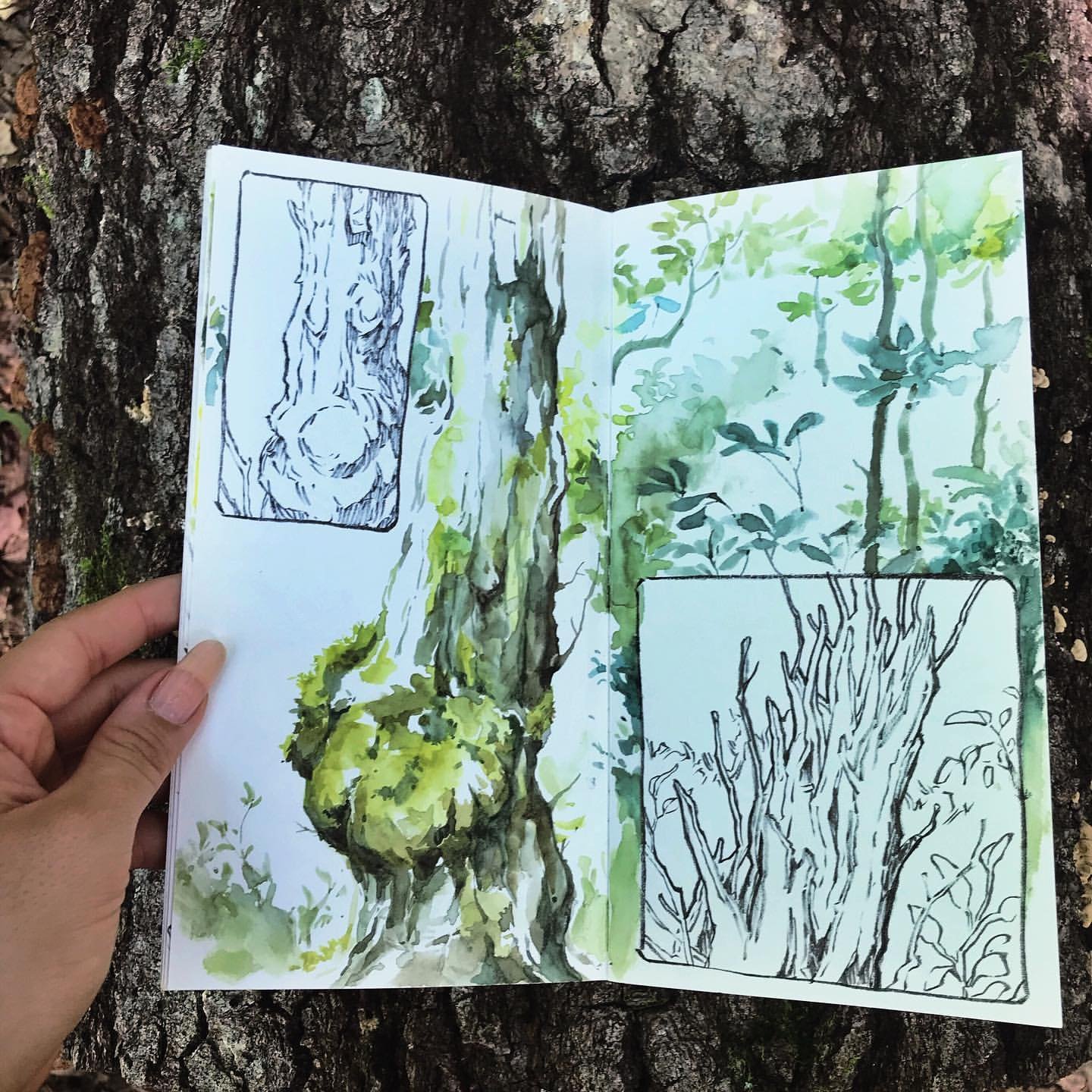 Mastering Daily Sketching: Sorie Kim's Insights