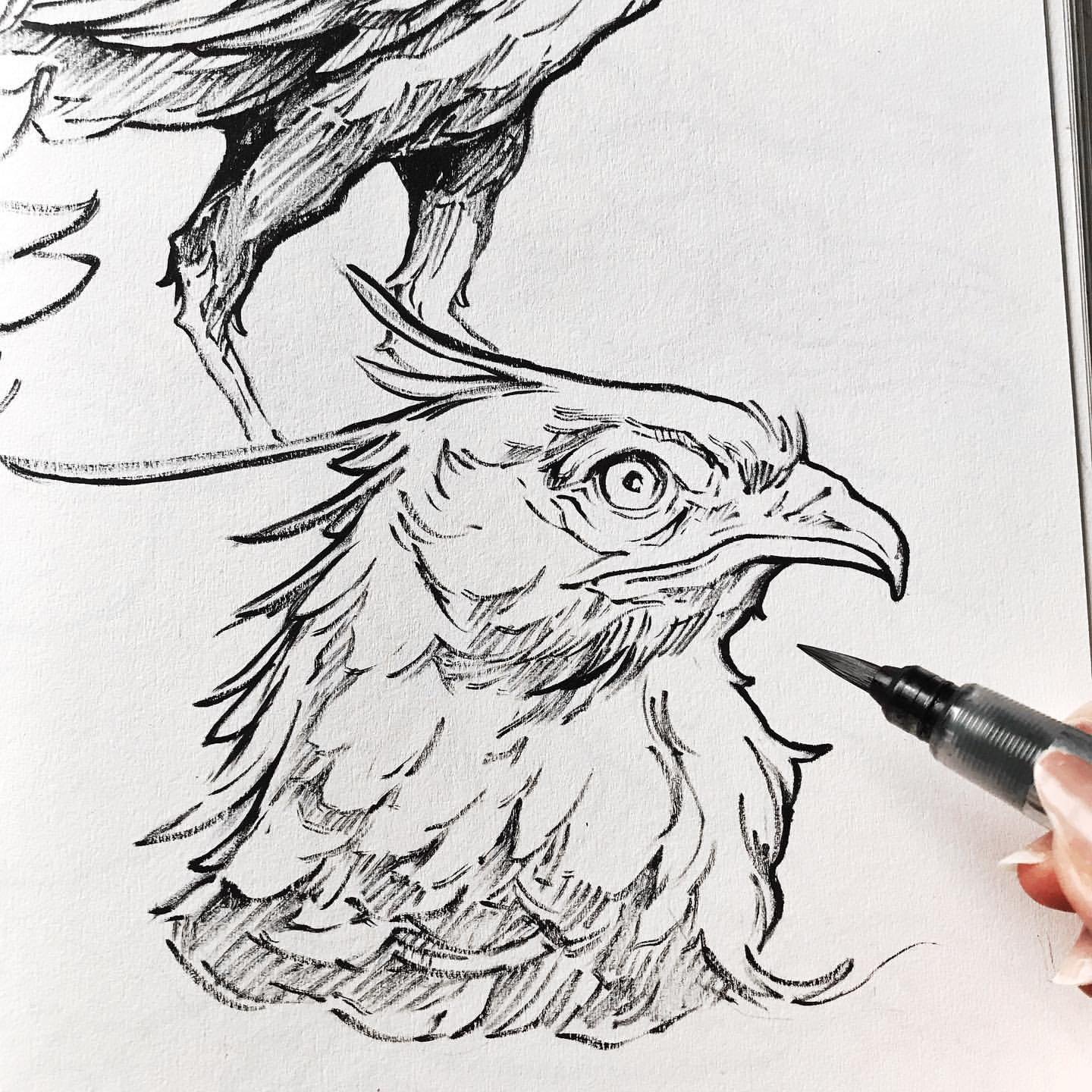 Daily Sketching Practices: Learn from Sorie Kim