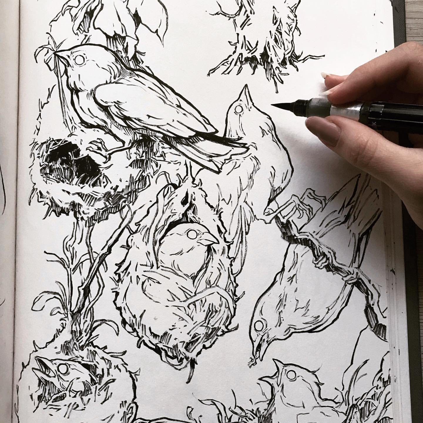 Mastering Daily Sketching: Sorie Kim's Insights