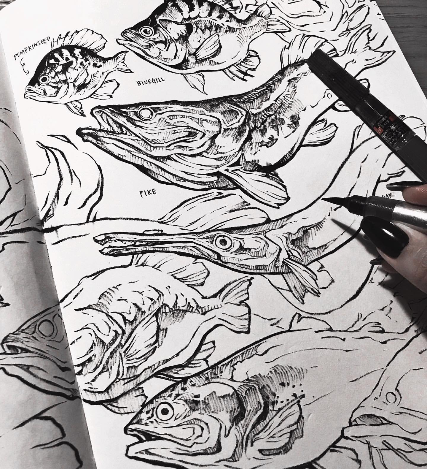 Boost Creativity: Sorie Kim's Daily Sketching Guide