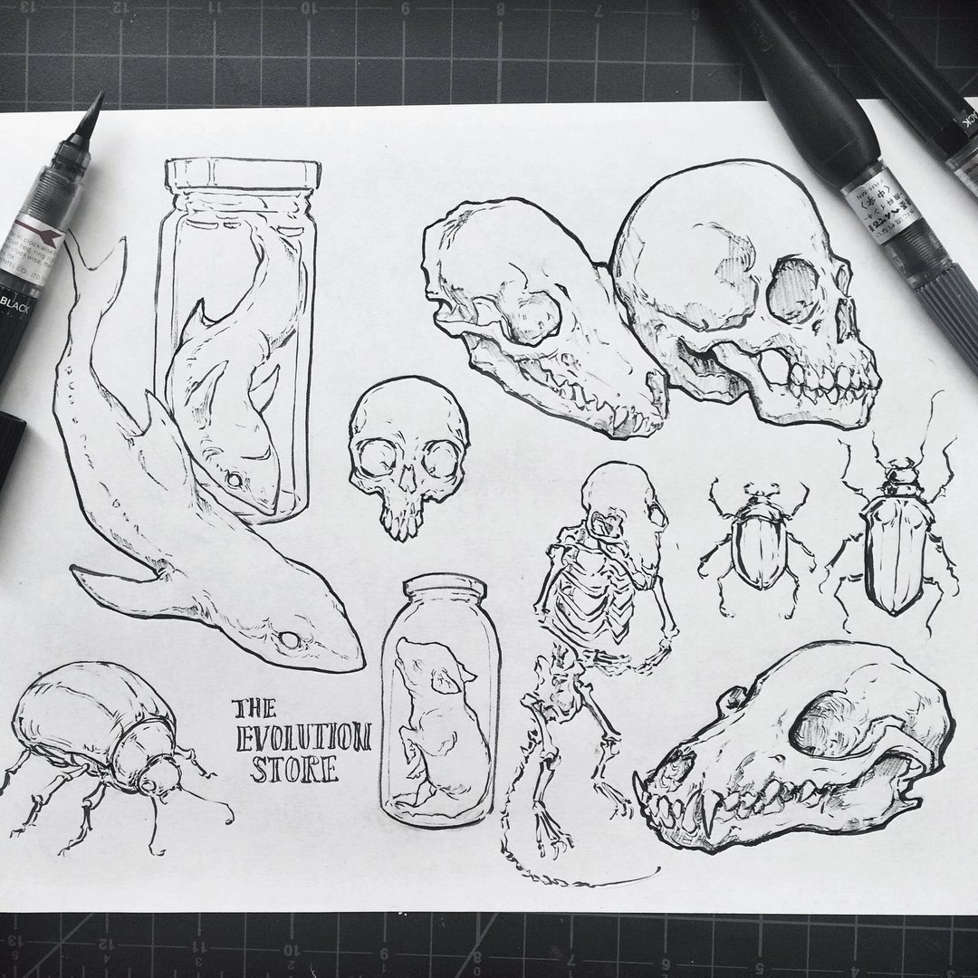 From Sketch to Masterpiece: Daily Drawing Techniques by Sorie Kim