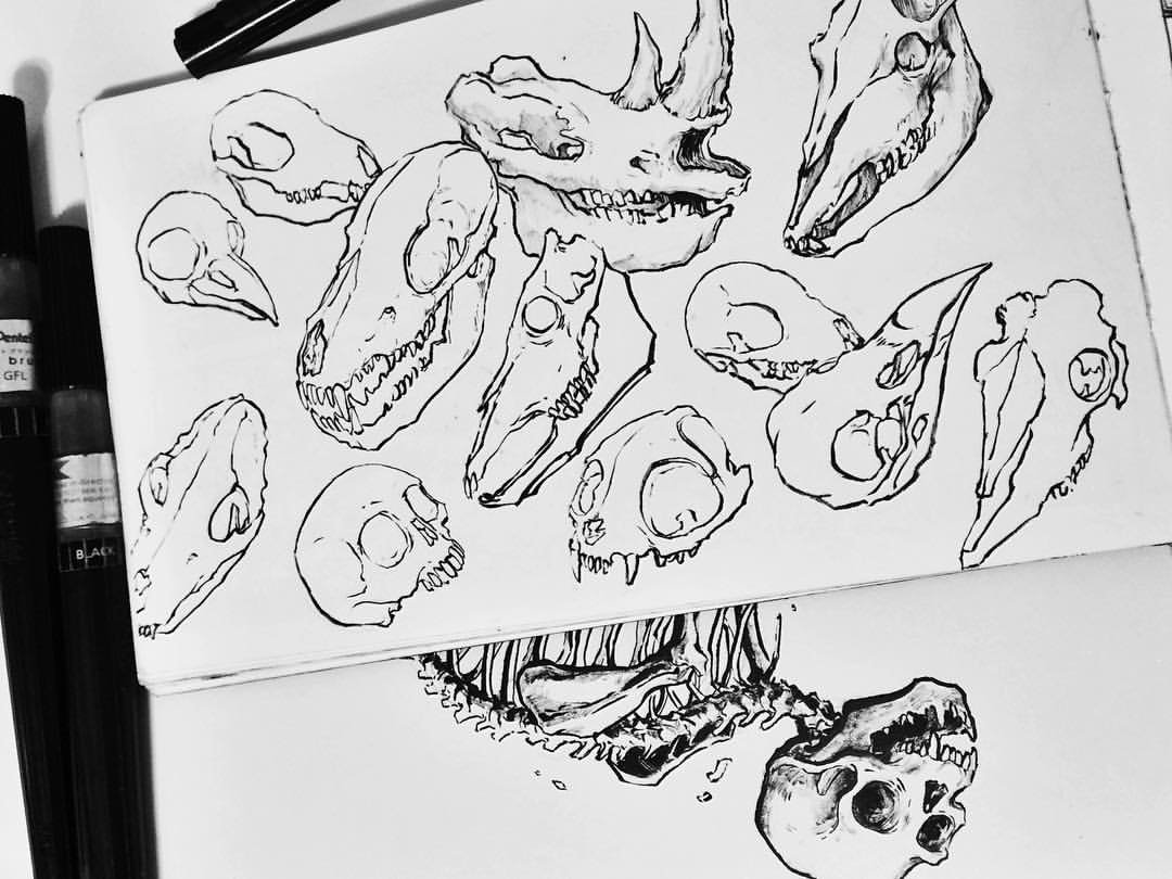 From Sketch to Masterpiece: Daily Drawing Techniques by Sorie Kim