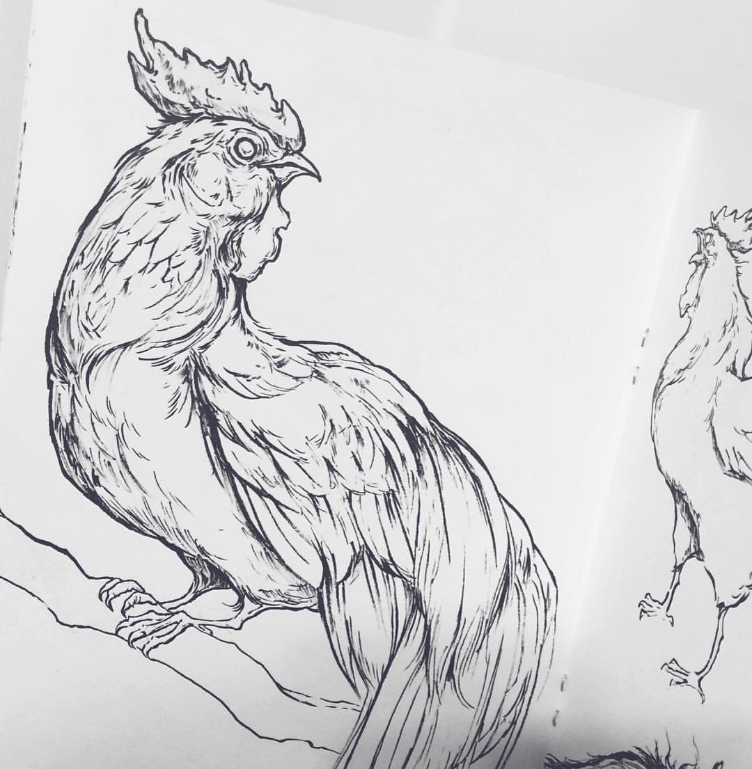 Daily Creative Sketching: Sorie Kim's Method