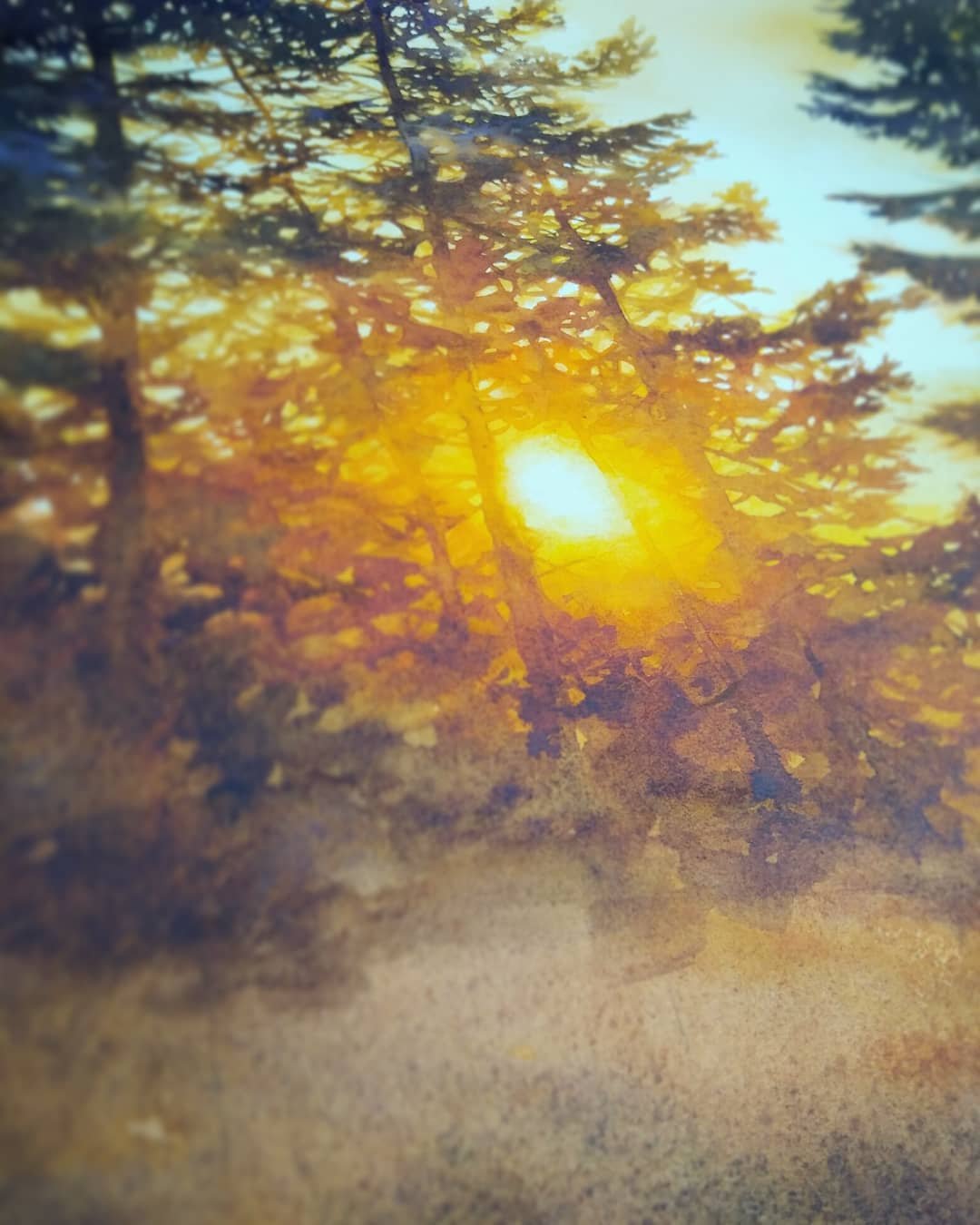 Transform Your Watercolor Landscapes: Light and Color by Katarzyna Kmiecik on Domestika