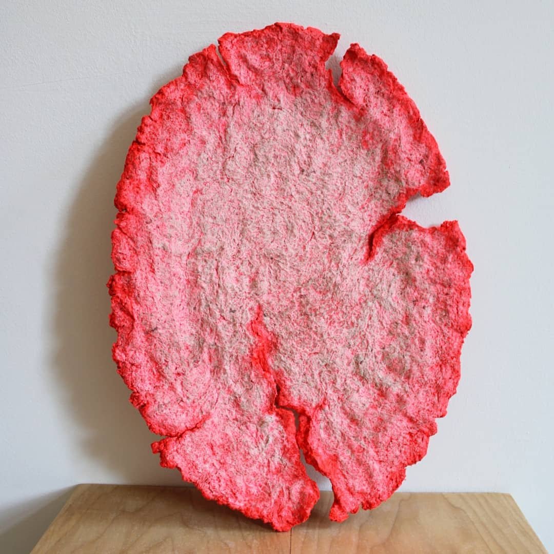 Paper Pulp Object Techniques: Course by Debbie Wijskamp