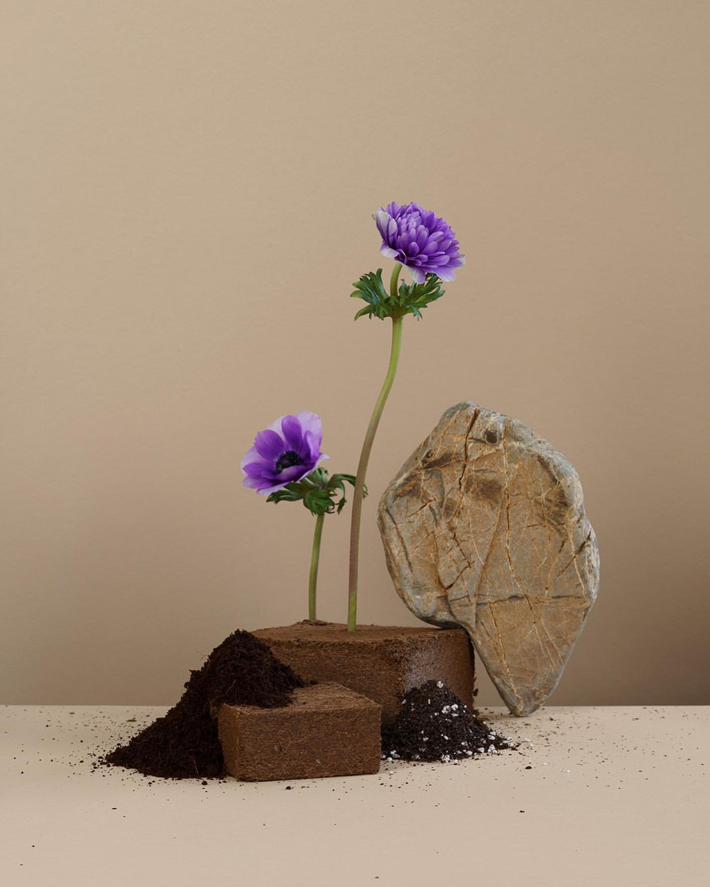 Techniques de Photographie de Bijoux avec Gabriela Silveira