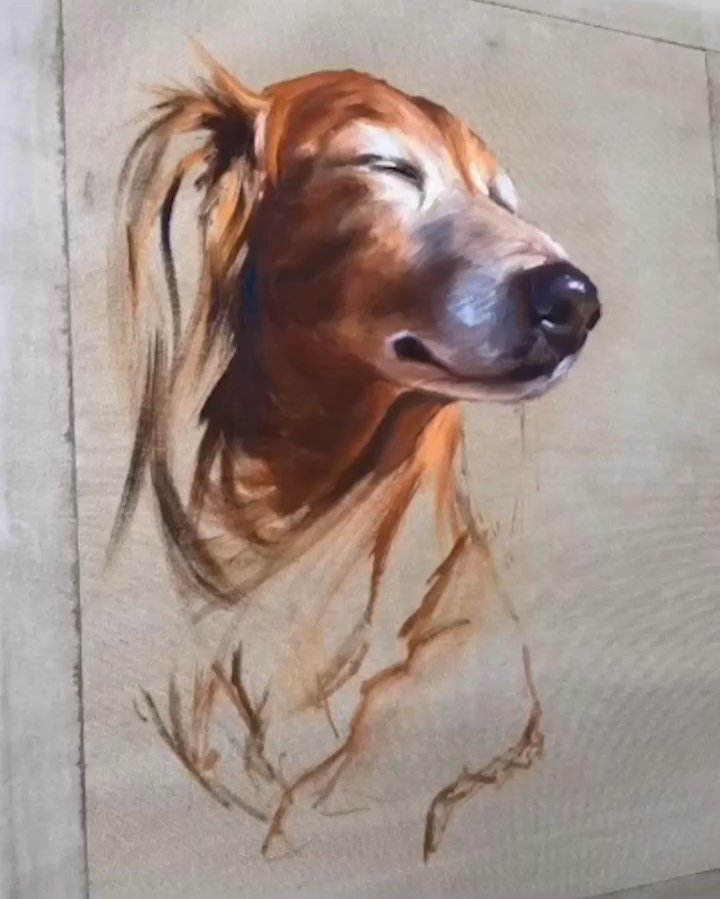 Pet Portraits in Oil: Aprende con Marcelo Rochá