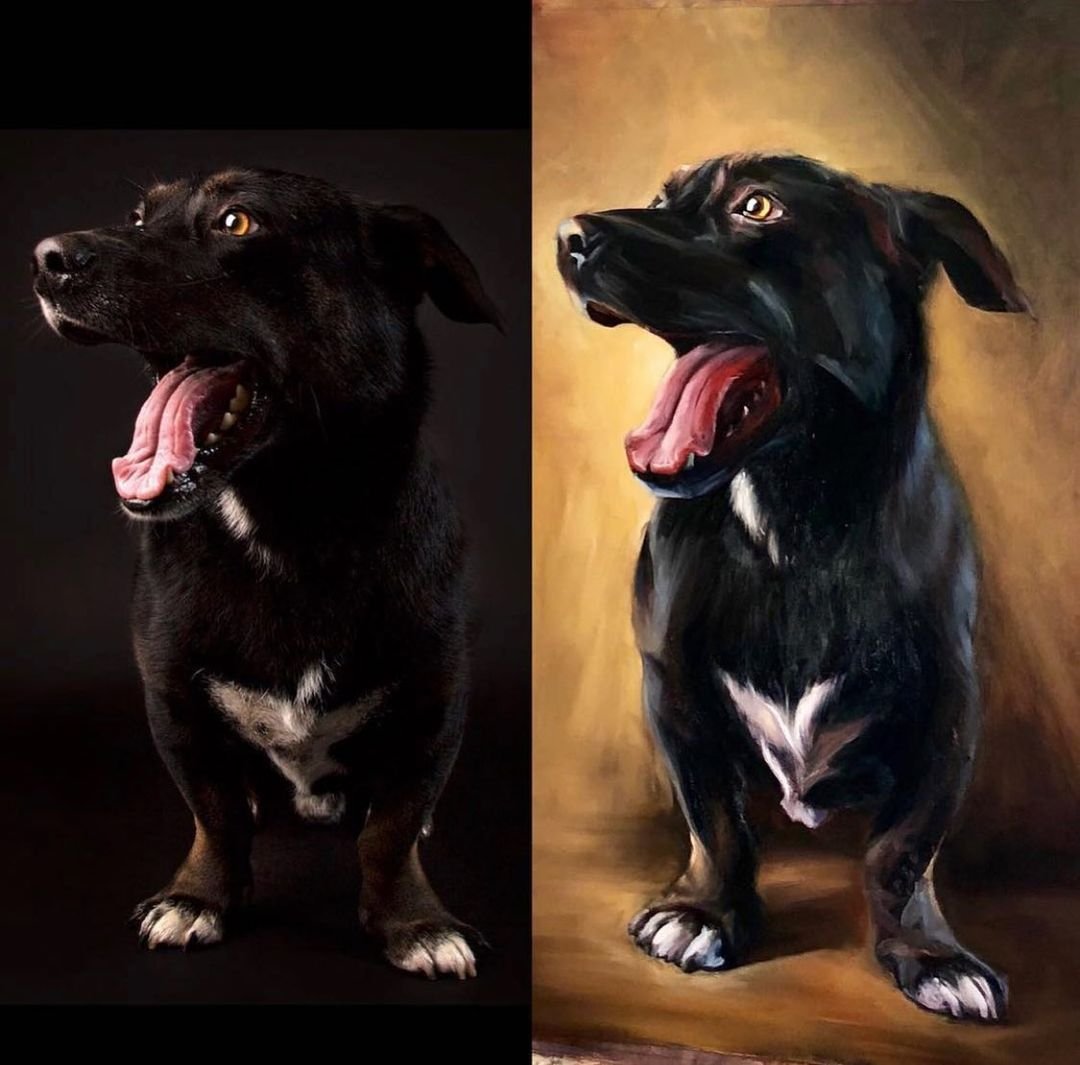 Realistic Pet Portraits: Curso Completo de Marcelo Rochá