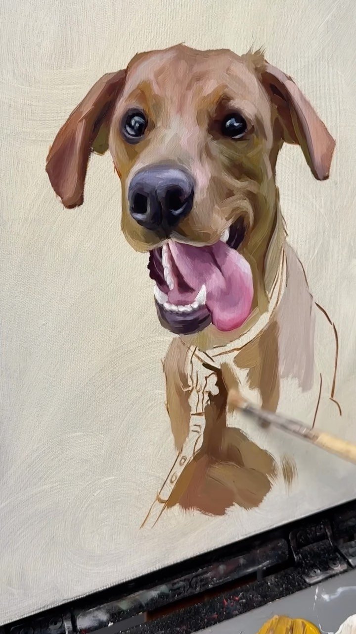 Curso de Pintura Realista de Mascotas con Marcelo Rochá