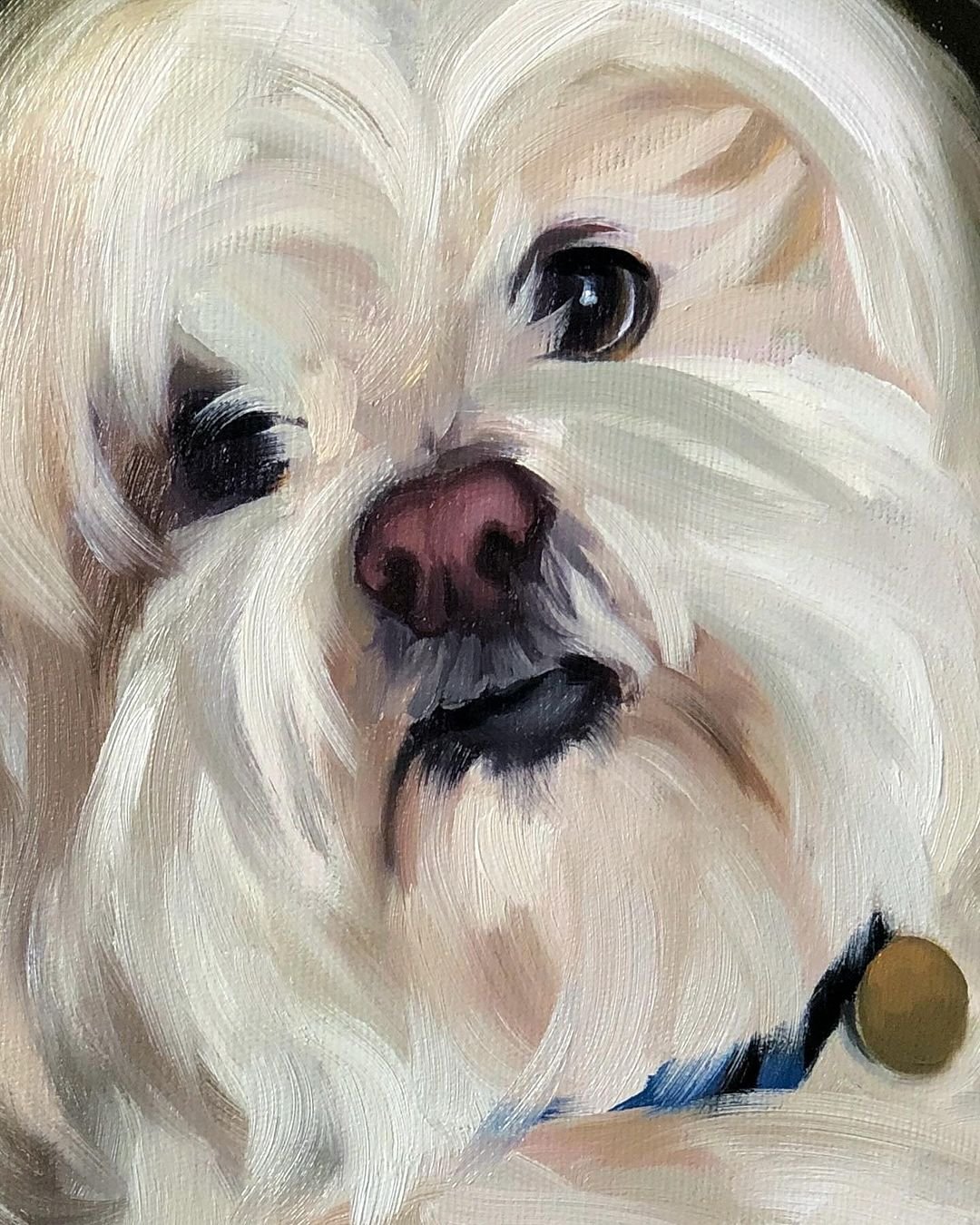 Realistic Pet Oil Painting: Aprende con Marcelo Rochá