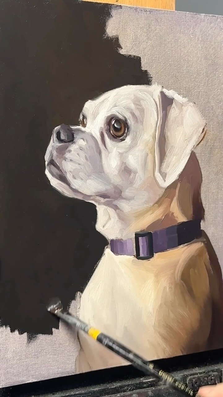 Realistic Pet Oil Painting: Aprende con Marcelo Rochá